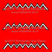 Degel Shevet1-Ruvein: water symbol on red background